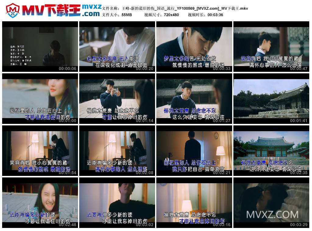 王峰-新的谎旧的伤_国语_流行_YF100569